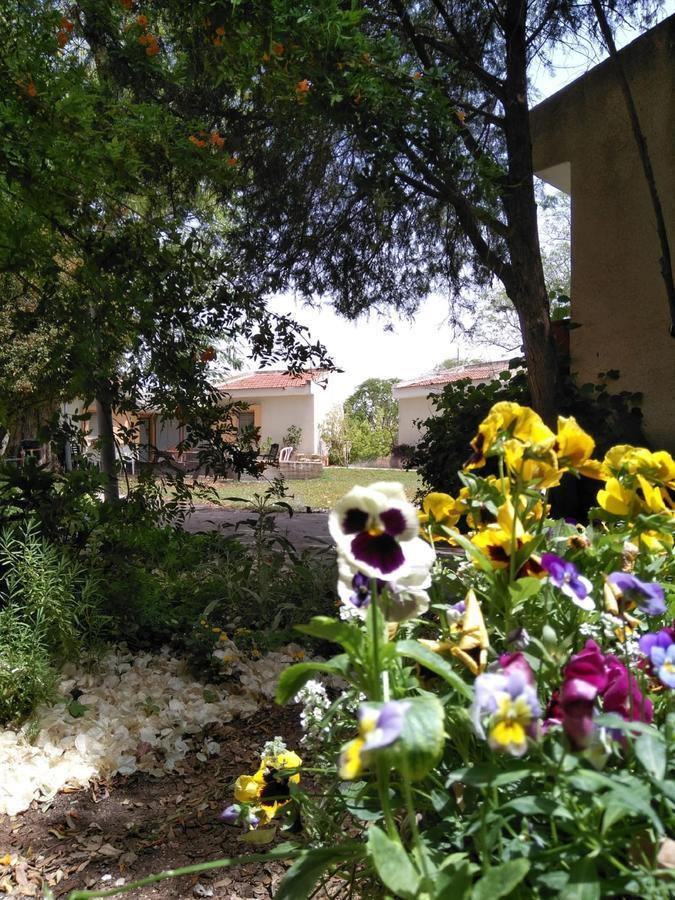 Jordan Valley Birding Lodge Kefar Ruppin Exterior foto